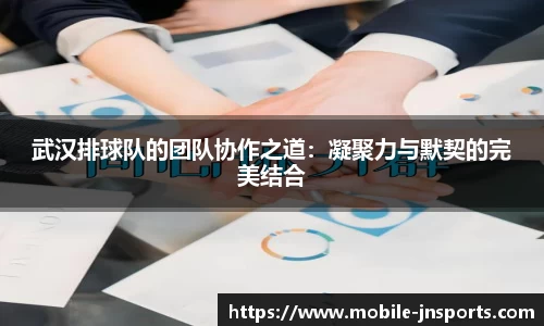 江南体育官方网站