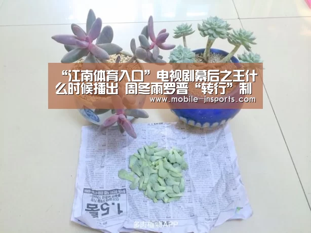 “江南体育入口”电视剧幕后之王什么时候播出 周冬雨罗晋“转行”制作人