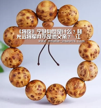 《将夜》宁缺身世是什么？林光远将军并不是他父亲？-江南app官方下载